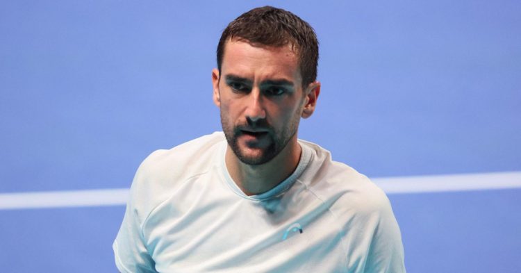 Nova ATP ljestvica: Čilić na 13. mjestu, Ćorić na 25.