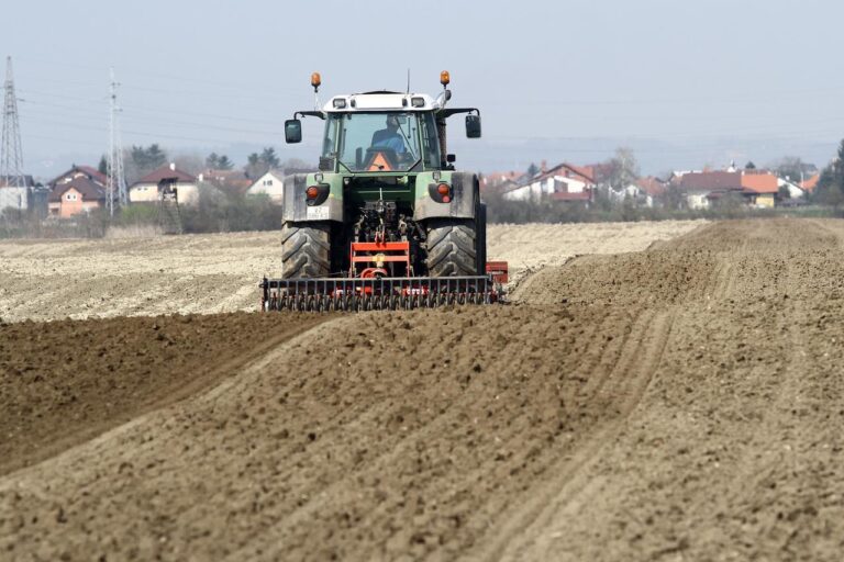 Proljetna sjetva: Za hektar žita od 400 do 900 KM, za gorivo 100 KM po ha