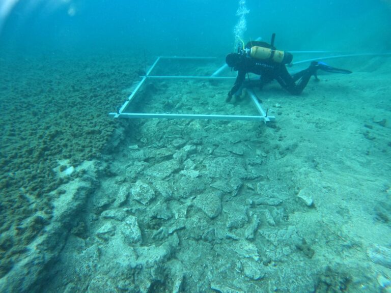 VIDEO Arheolozi u podmorju kod Korčule otkrili cestu staru 7000 godina