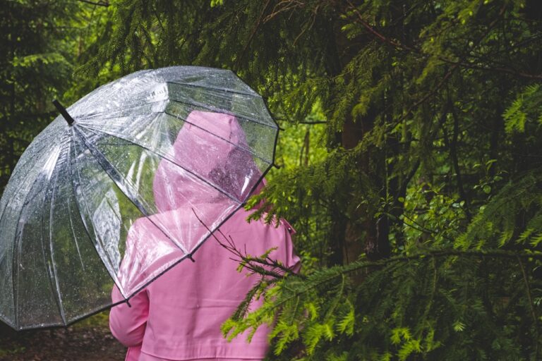 Danas kiša u Bosni i Hercegovini, pogledajte kakvo vas vrijeme očekuje naredna tri dana