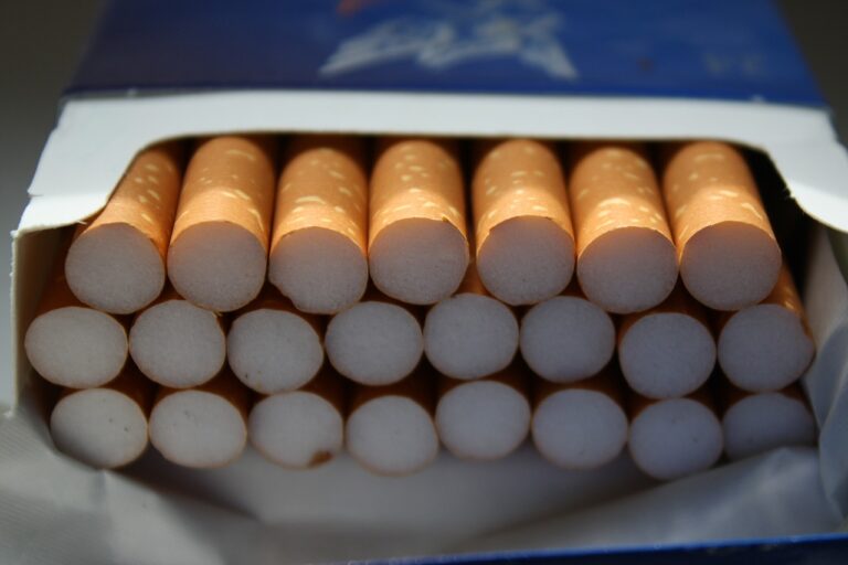 Pojačana kontrola na ulasku u Hrvatsku: Ovo su pravila za cigarete, hranu, pića