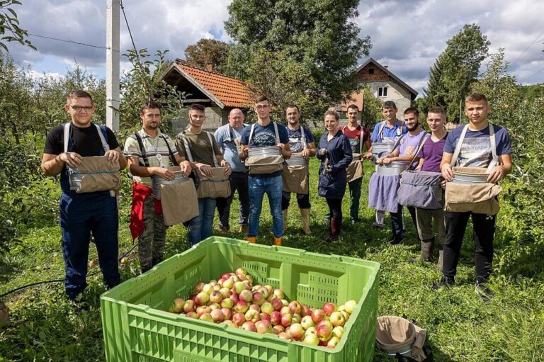 Iako je tuča oštetila jabuke, i ove sezone spravljat će se ekosok