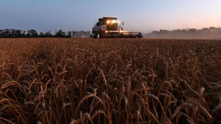 Ukrajina upozorila da bi mogla zatražiti međunarodnu arbitražu oko ograničenja na izvoz njenog žita