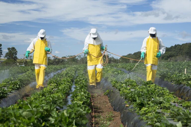 Kronično trovanje pesticidima dovodi do leukemije, limfoma, sarkoma, raka želuca…