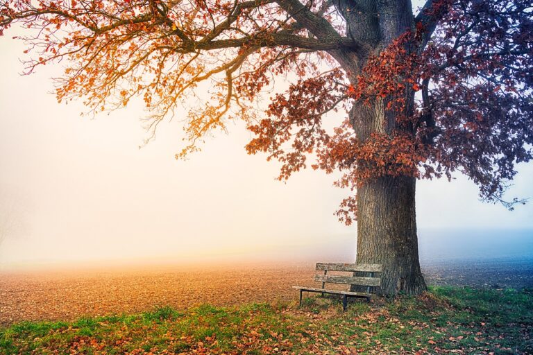 Bh. meteorolog otkrio kakvo nas vrijeme očekuje u studenom