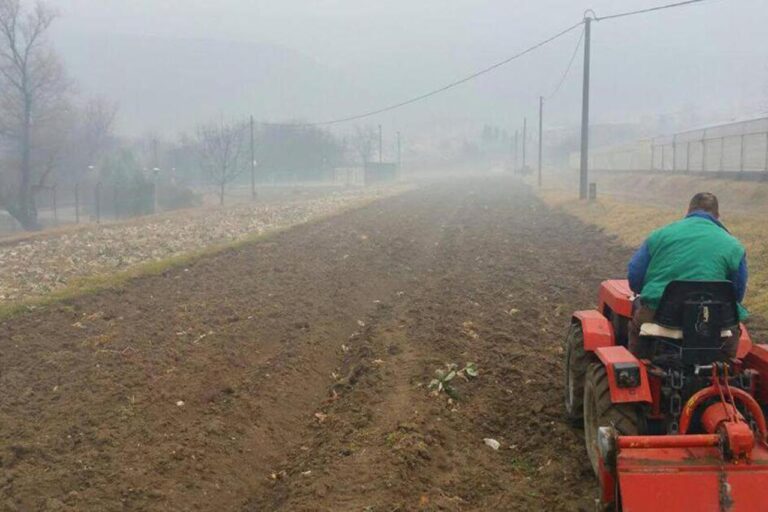 Zatvorenici diljem BiH proizvode voće i povrće, bave se uzgojem tovnih pilića, brinu se o farmama goveda…