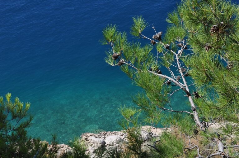 Makarska ulaže pola milijuna eura za sunčališta, toalete i ostalu infrastrukturu