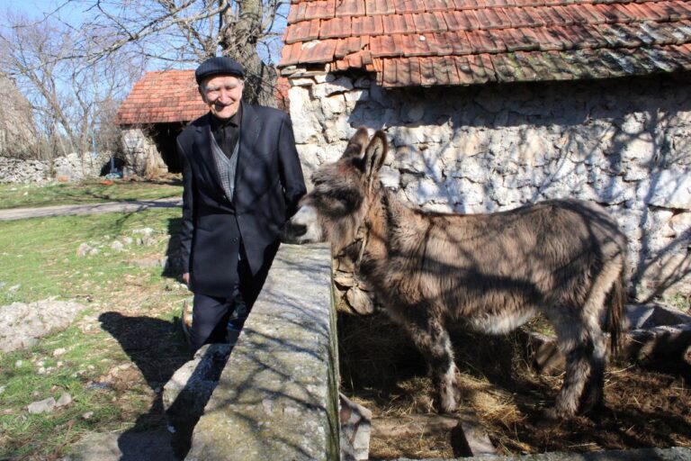 Vjeran tradiciji držanja domaće stoke i pozivu narodnog “liječnika”