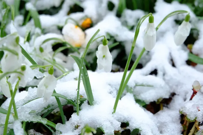 Poznati meteorolog upozorio: Kada imamo veljaču topliju od prosjeka “nastradamo” u travnju