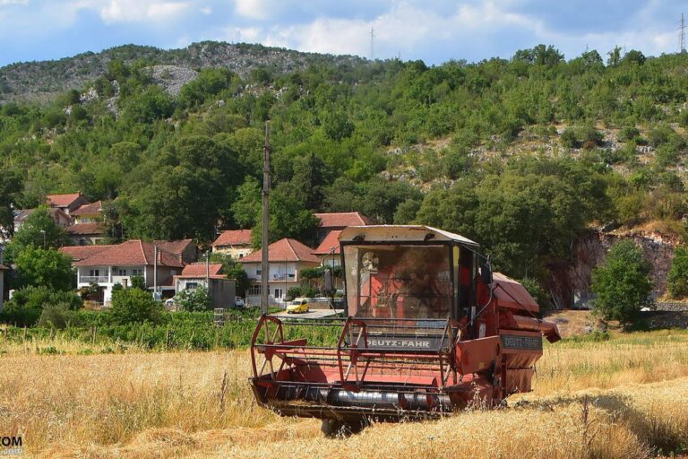 Ponovno rasle cijene ulja, žitarica i mesa