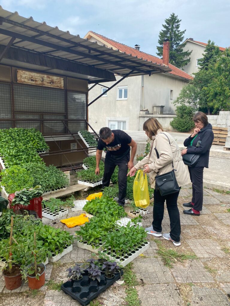 PROŠETALI SMO POSUŠKOM TRŽNICOM