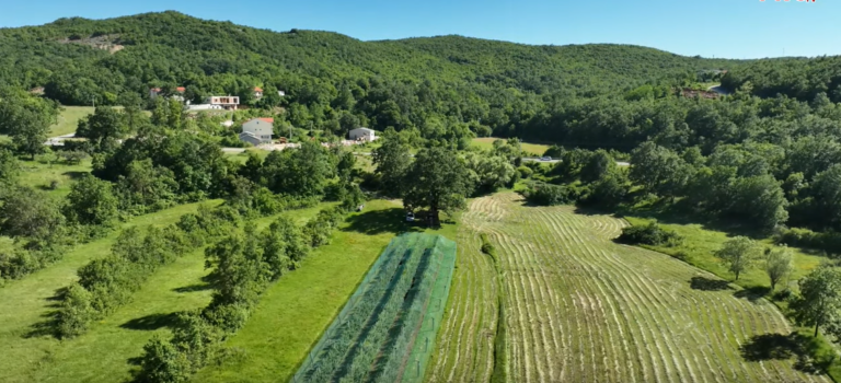 Poljoprivrednik Branko Oreč iz Posušja