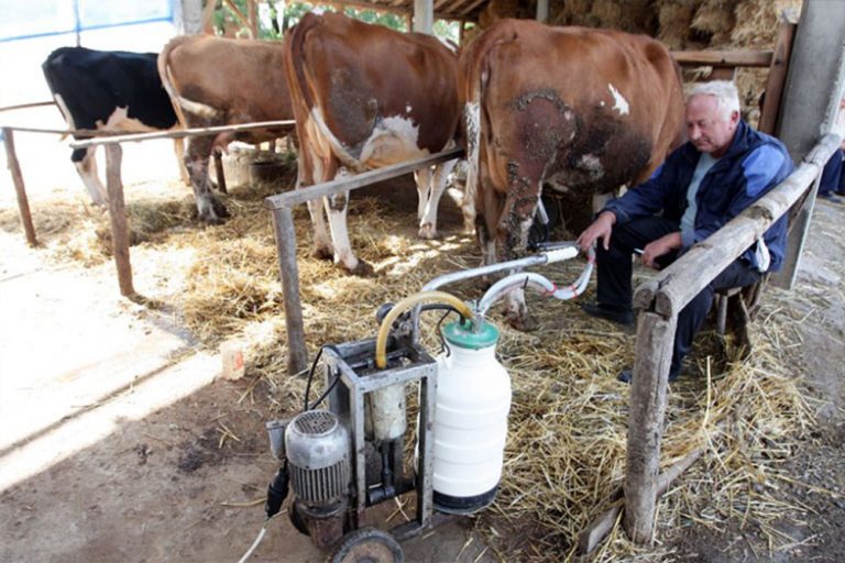 Farmeri strahuju od pojave kancerogenih supstanci u mlijeku