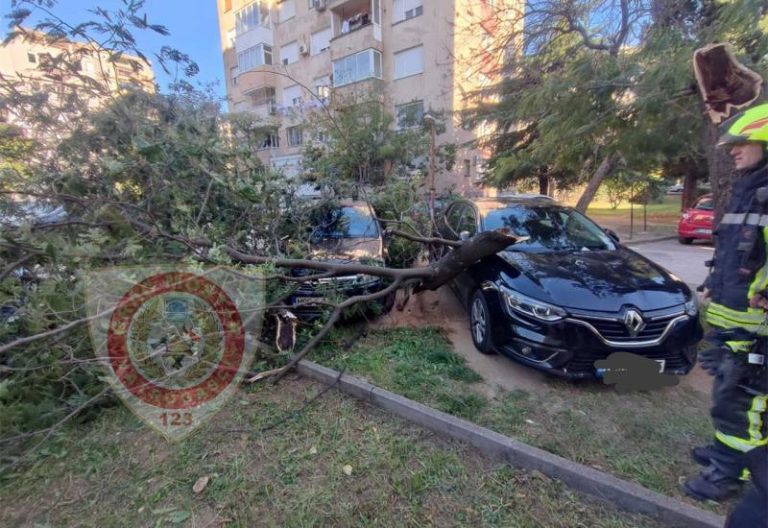 U Mostaru jak vjetar oborio stablo