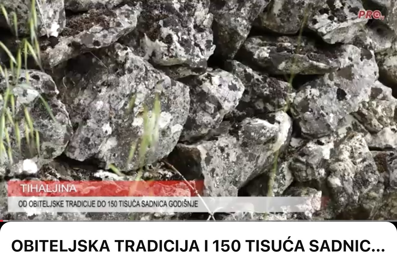OBITELJSKA TRADICIJA I 150 TISUĆA SADNICA GODIŠNJE – PRIČA RANKA KORDIĆA