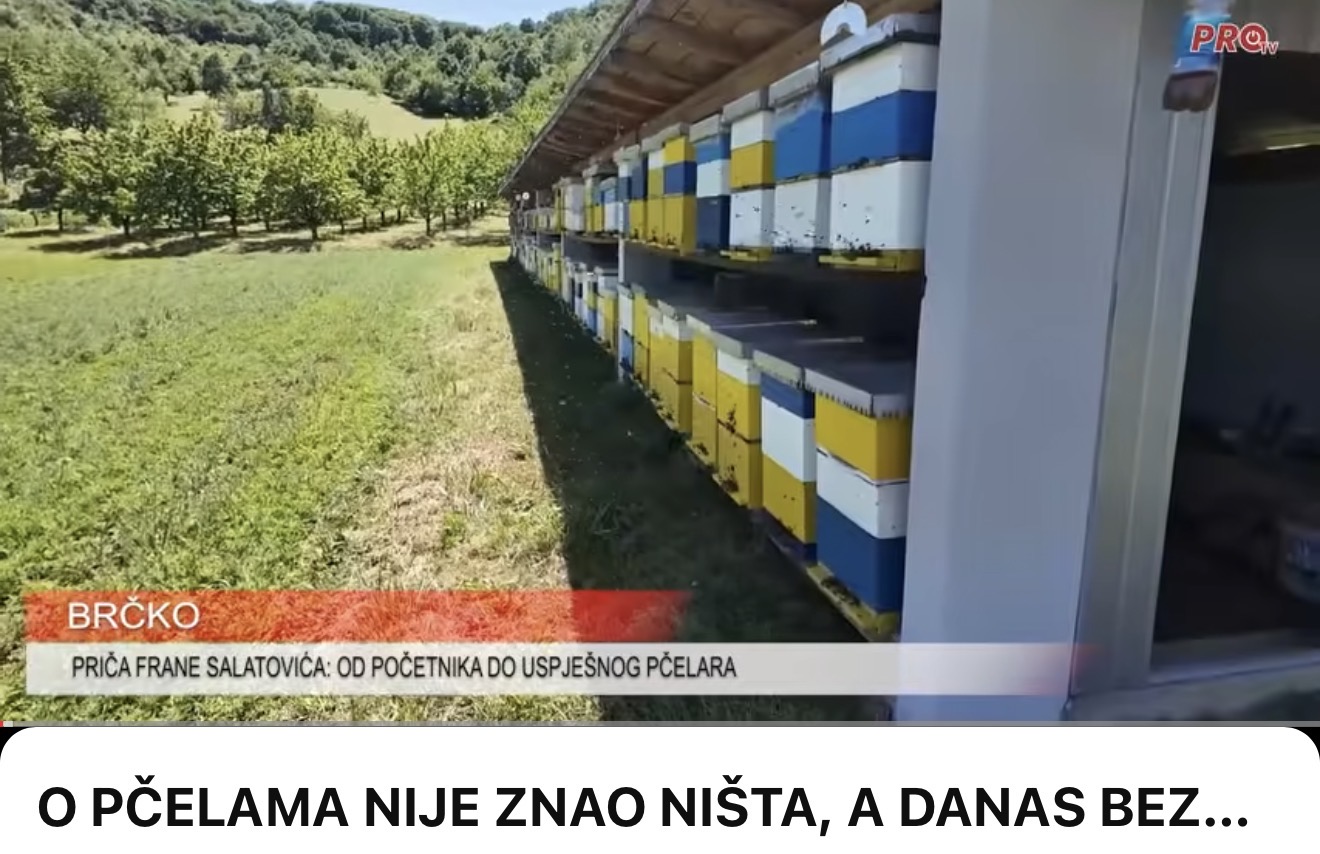 O PČELAMA NIJE ZNAO NIŠTA, A DANAS BEZ NJIH NE MOŽE ŽIVJETI – PRIČA FRANE SALATOVIĆA